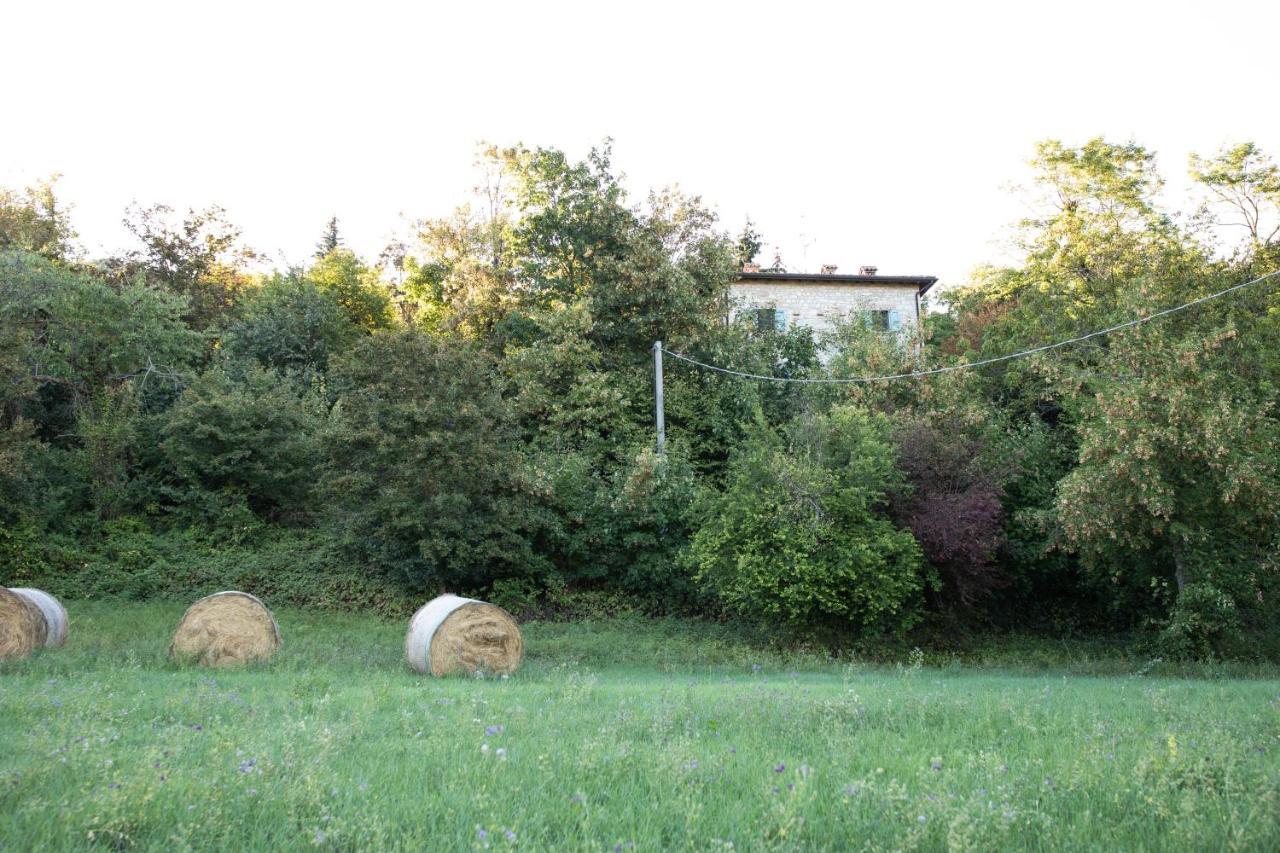 La Marcona Apartment Serramazzoni Luaran gambar